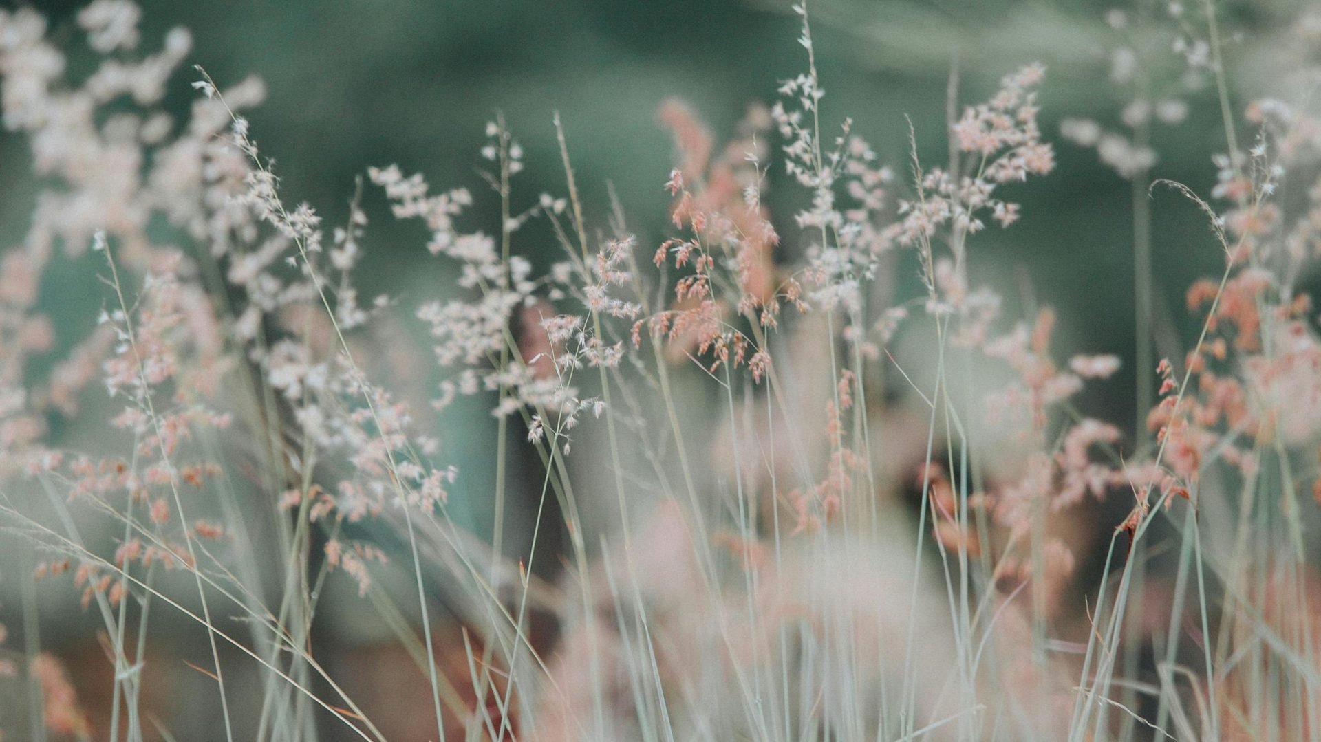 Beyond the Pill and the Couch: A Holistic Approach to Mental Health